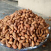 Bitter Kola Nuts