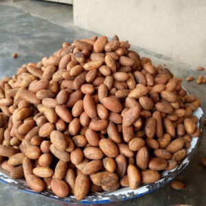 Bitter Kola Nuts