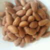 Bitter Kola Nuts