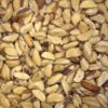 Edible Brazil Nuts