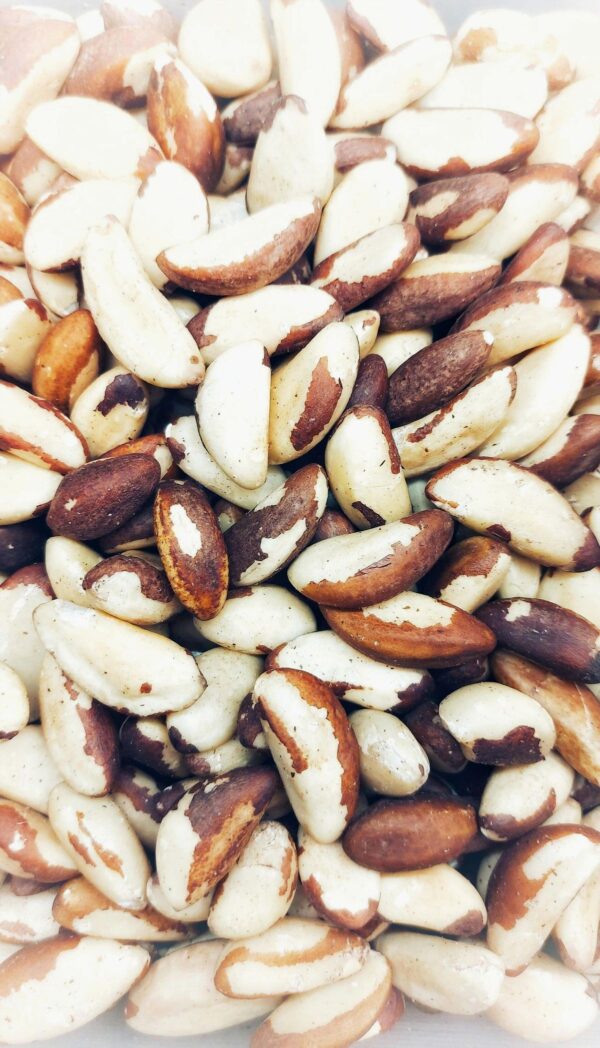 Edible Brazil Nuts