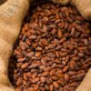 Quality cocoa beans