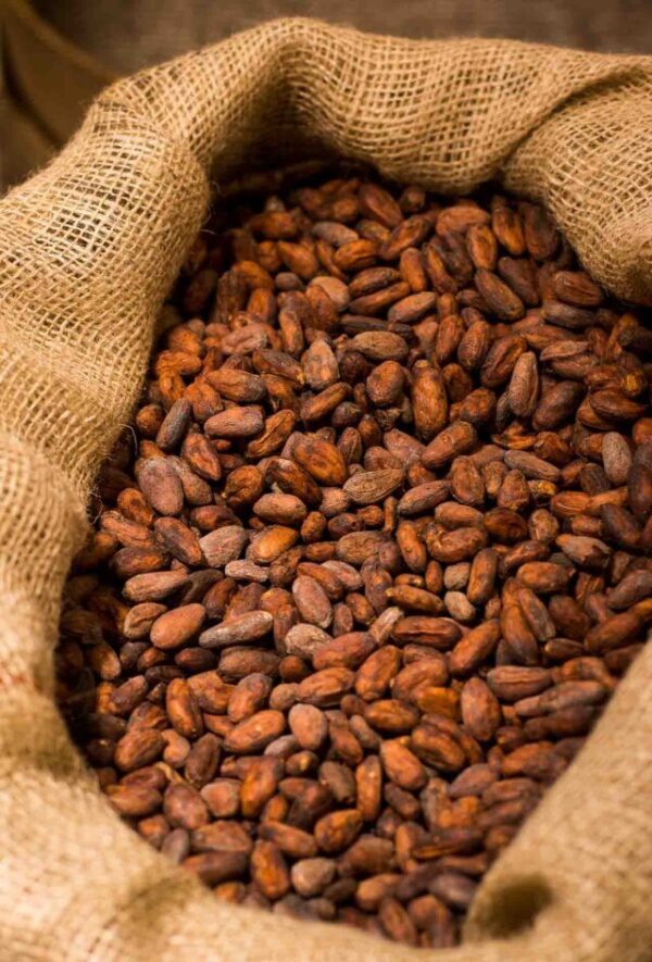 Quality cocoa beans