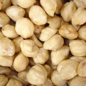 Kemiri Nuts