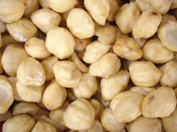 Kemiri Nuts