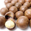 Purchase Macadamia Nuts