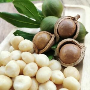 Purchase Macadamia Nuts