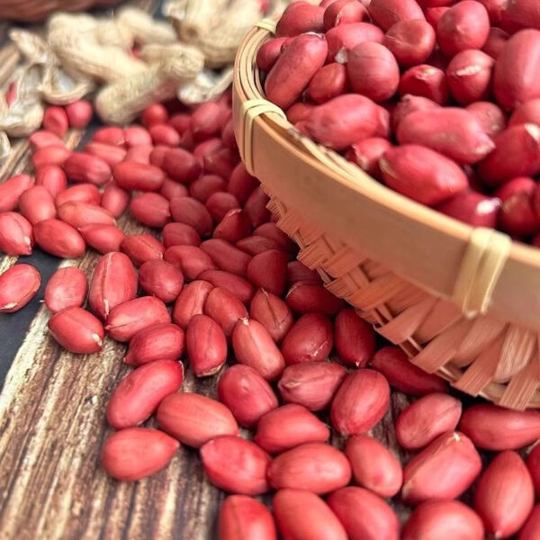 quality Peanuts for Sale