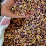 Pistachio nuts (premium shelled kernel)