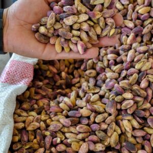 Pistachio nuts (premium shelled kernel)