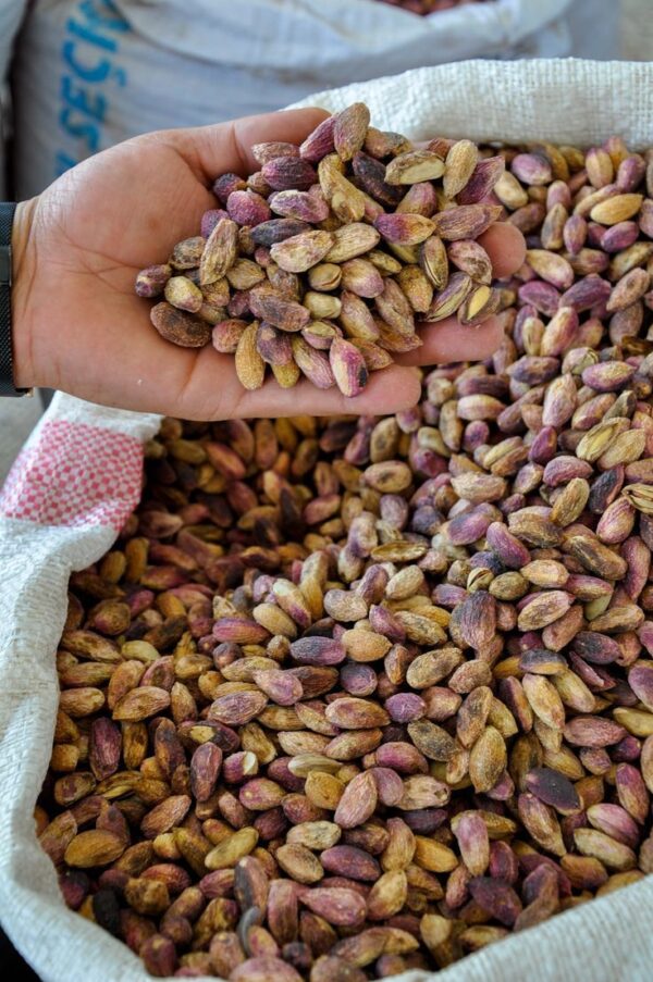 Pistachio nuts (premium shelled kernel)